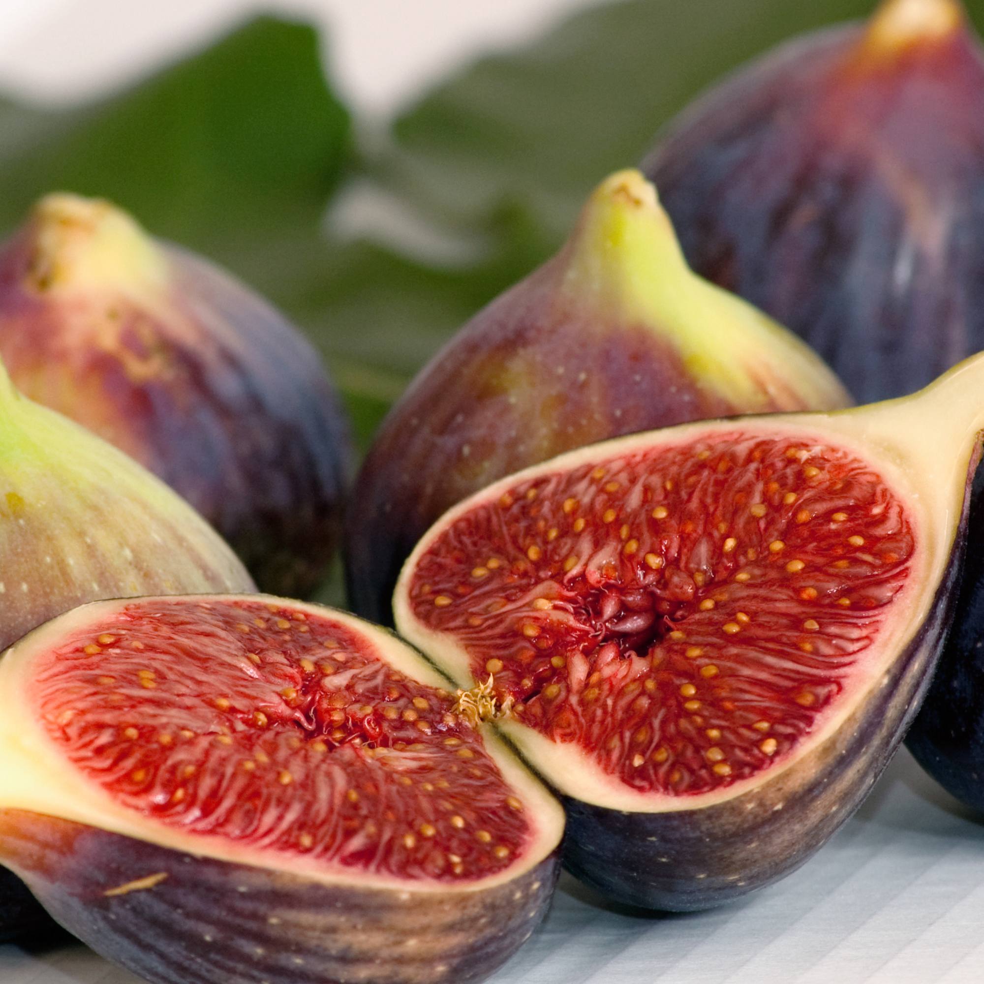 La Deliziosa Composta di Fichi Bio di Sua Maestà Sicilia