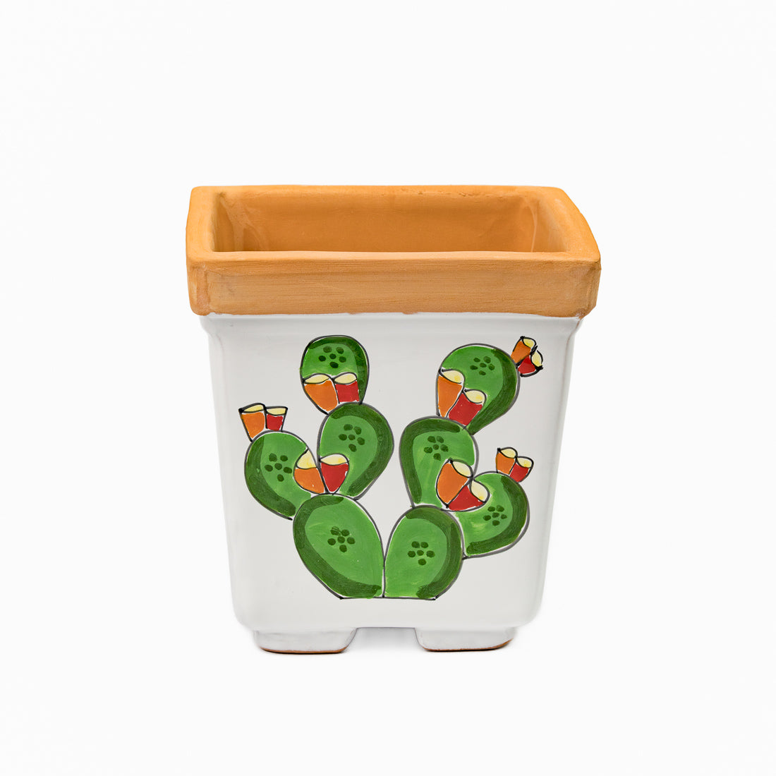 Square Ficus plant pot