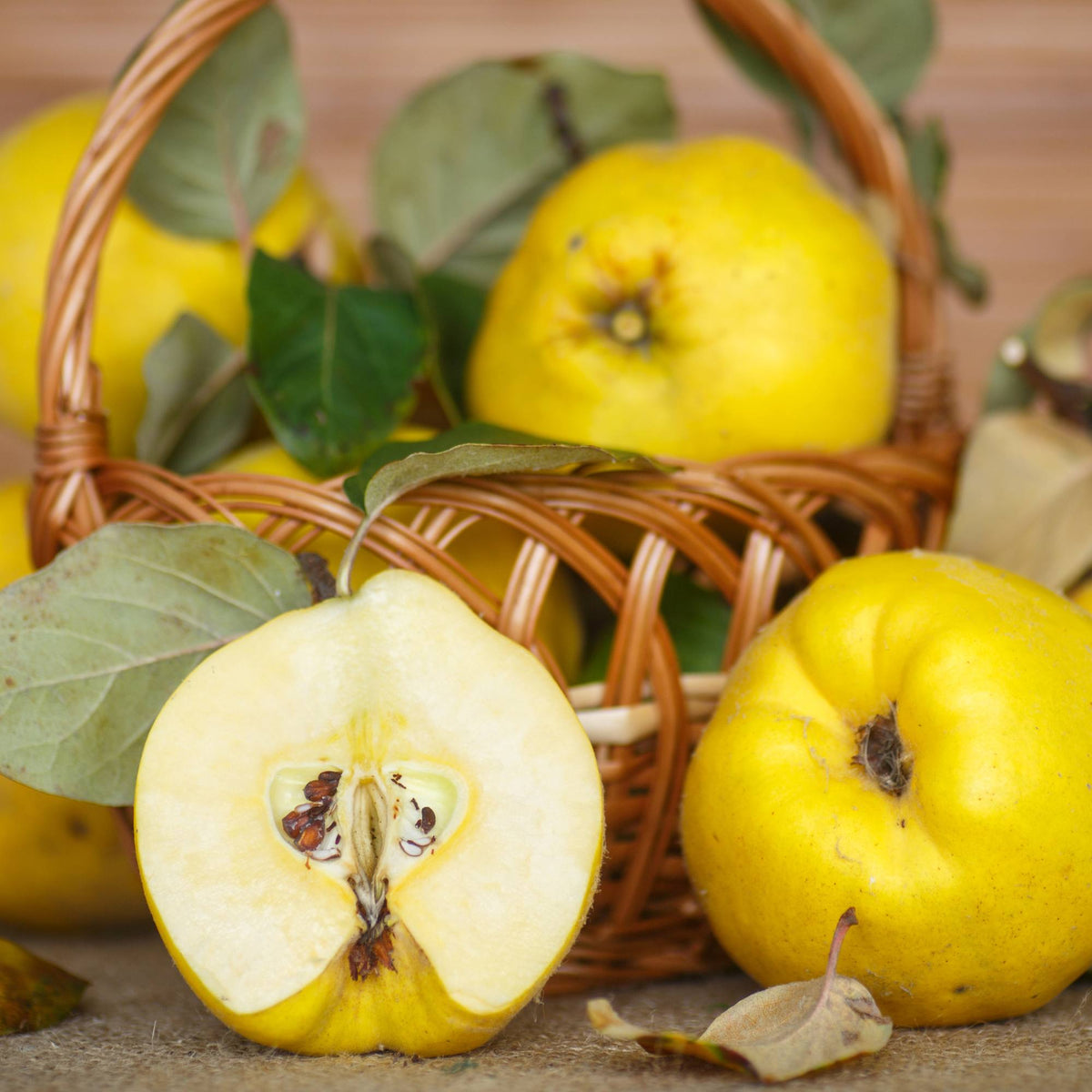 La mela cotogna: il frutto antico dal sapore inimitabile - Sua Maestà Sicilia