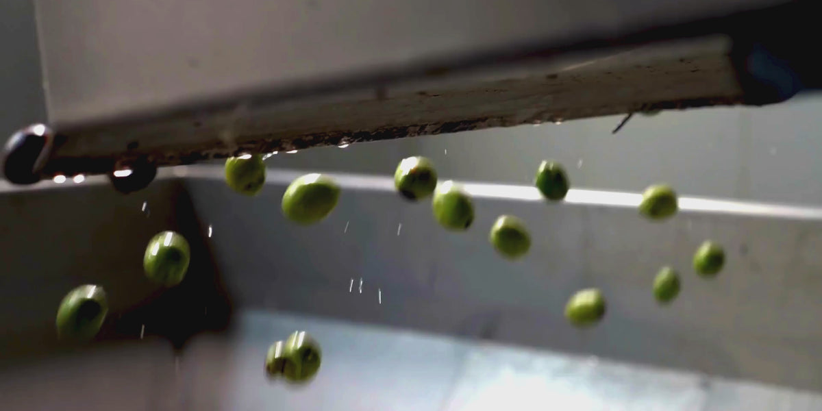 Carica video: Video di lavorazione artigianale della ceramica; immagini illustrative del gesto artigiano.