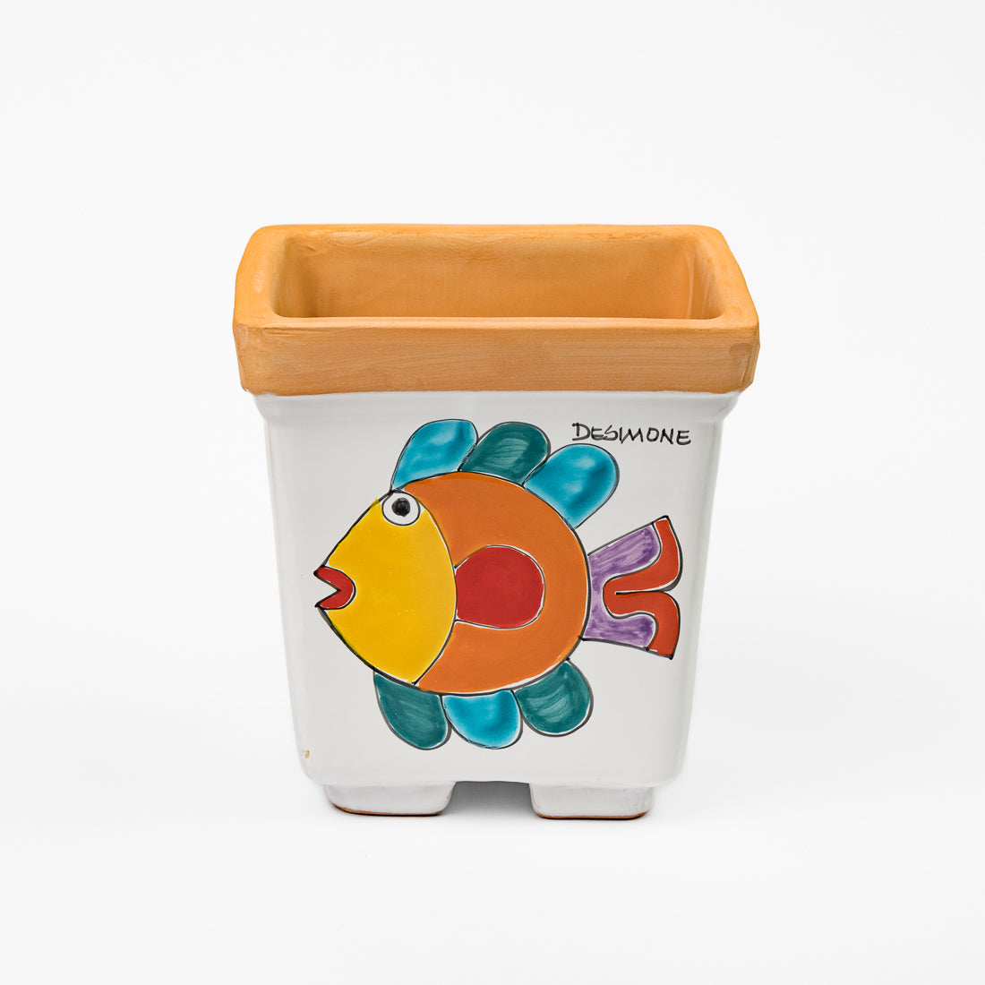 Square Ficus plant pot