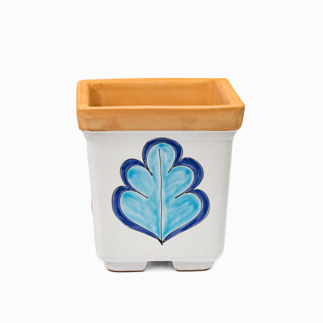 Square Ficus plant pot