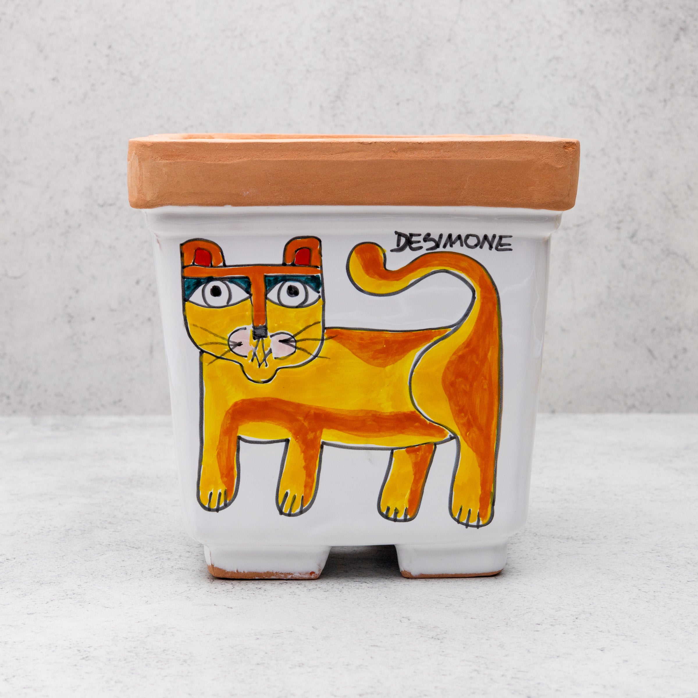 Square Cat Plant Pot