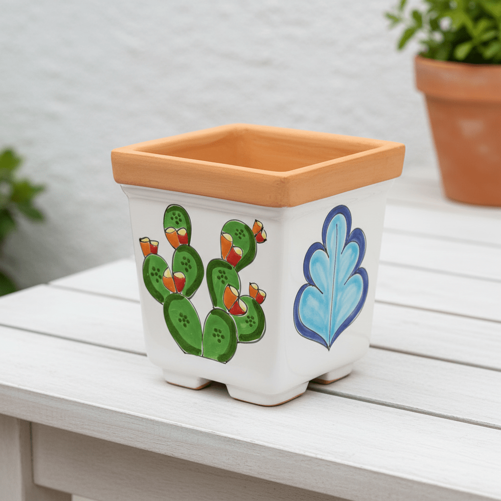 Vaso quadrato porta pianta Ficus - Sua Maestà Sicilia